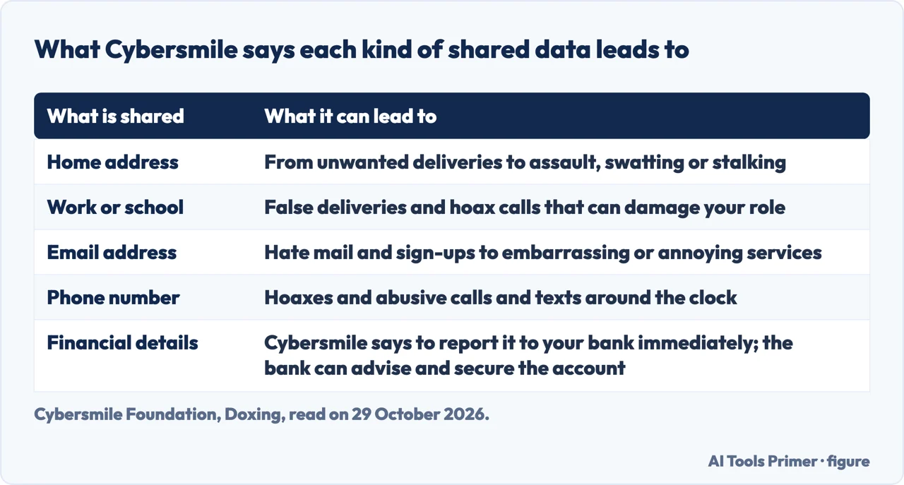 Table of what Cybersmile says a shared home address, workplace, email, phone number or financial detail can lead to