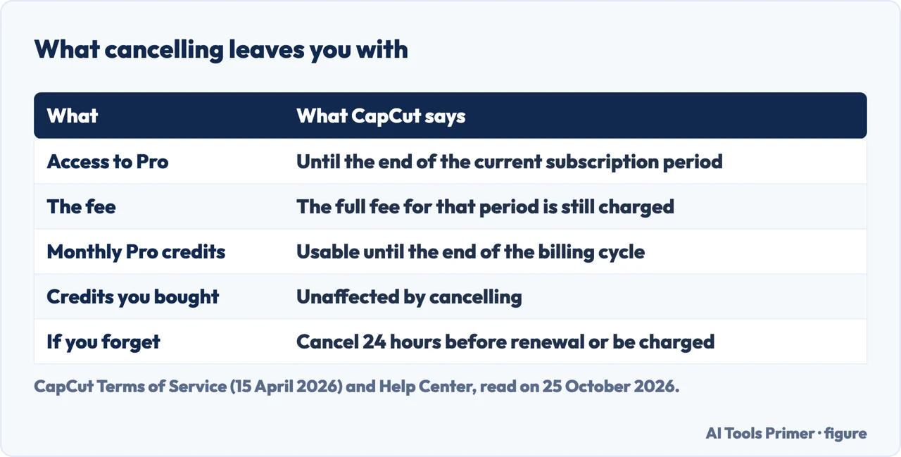 Table of what cancelling leaves you with: Pro access, the fee, monthly credits, bought credits, and the 24-hour rule